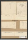 Actinocyclus incertus Grun. (de-Toni-Nr.: Genus 195, Species 4748) Zeichnungen Sammlung Grunow Nr. 8387 (NHMW-BOT-W0377817)